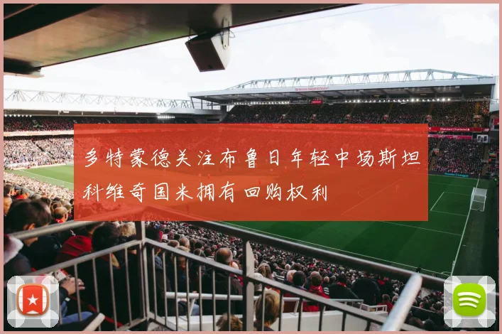 多特蒙德关注布鲁日年轻中场斯坦科维奇国米拥有回购权利